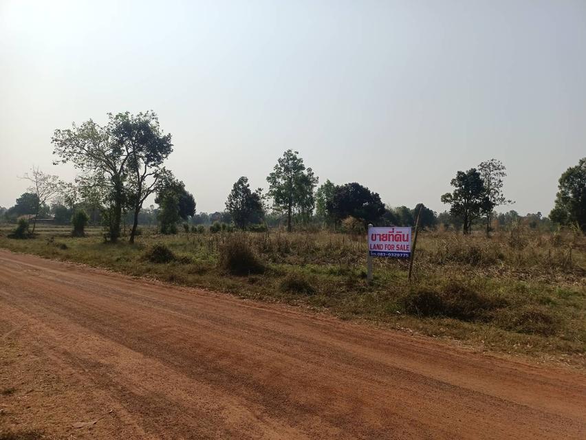 ขายที่ดินจังหวัดอุดรธานี หนองหาน บ้านดอนกลอย พิบูลย์รักษ์ 3