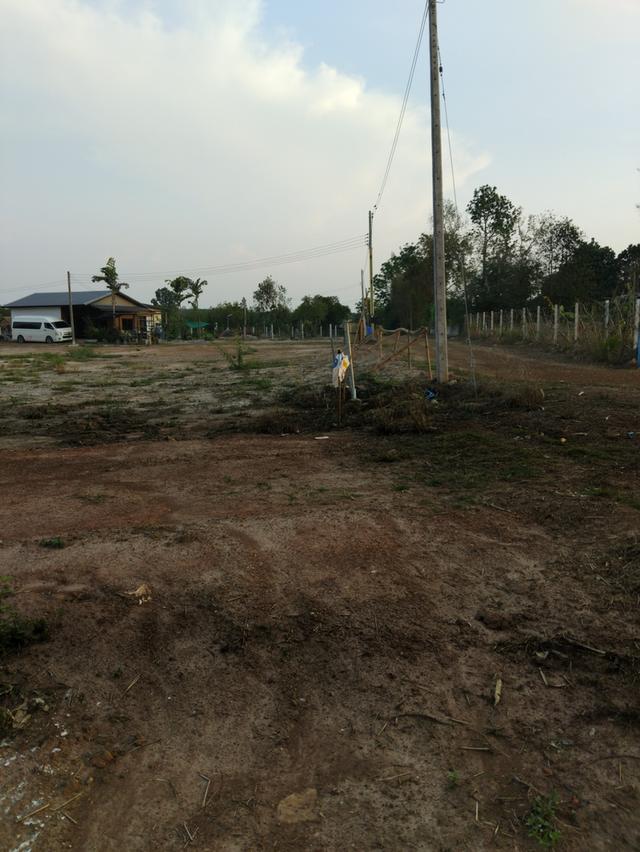 ขายที่ดินลาดกระทิง 3 ไร่ ติดถนนลาดยางติดลำราง ใกล้ถนนเส้น3259-2กม. อ.สนามชัยเขต ฉะเชิงเทรา 7