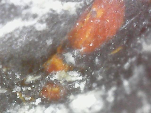 พระเครื่อง ชุดเบญจภาคี 5