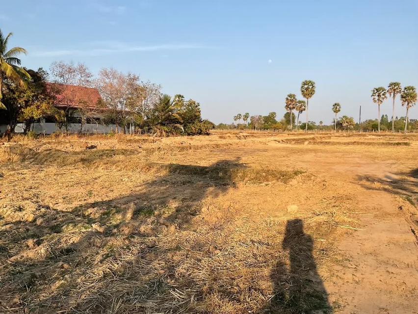 ที่ดินทำเลดี จ.อุดรธานี (9 ไร่) 5