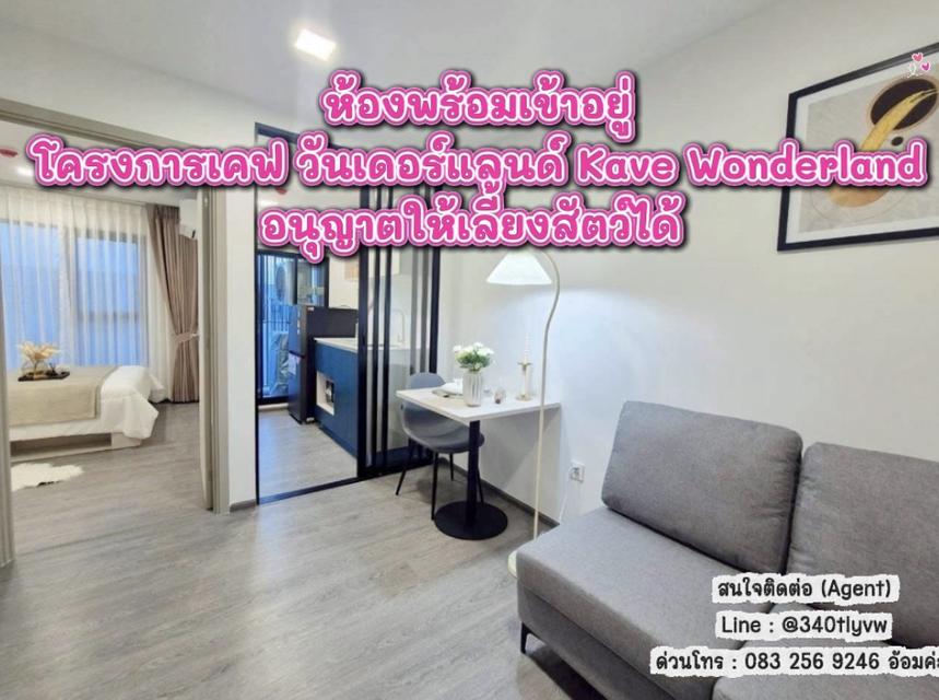 ให้เช่า โครงการเคฟ วันเดอร์แลนด์ Kave Wonderland 1