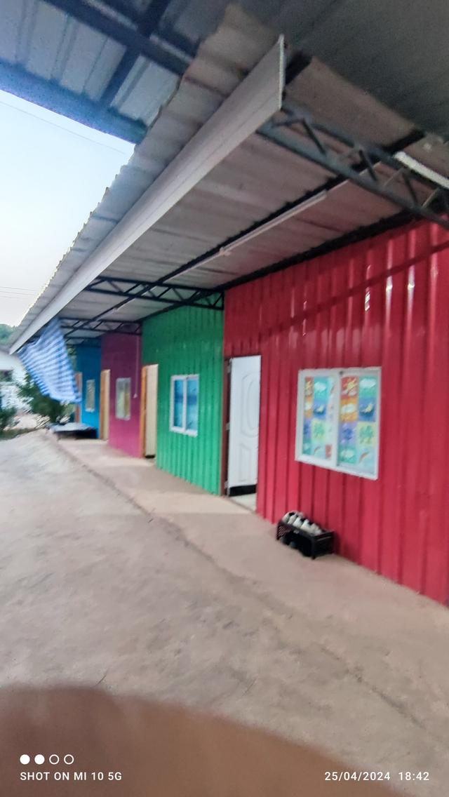 บ้านสวนและที่ดินเปล่า 5