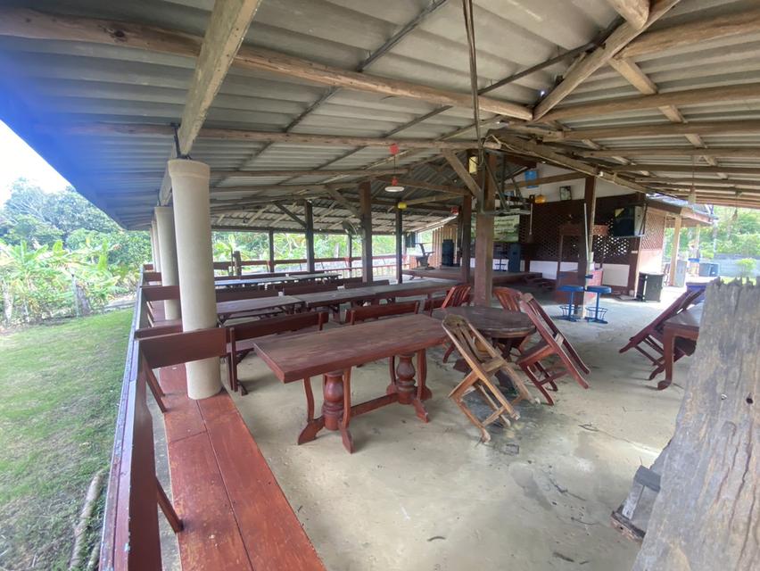 ไร่ชมจันทร์ วังน้ำเขียว 14ไร่ 4