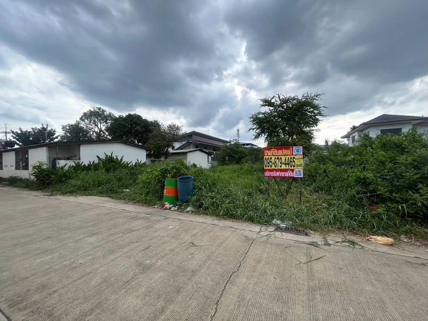 ขายด่วนที่ดินผังม่วง 101 ตรว ติดถนนคอนกรีต ถมแล้ว ซ.นวนทอง 23 กระทุ่มแบน สมุทรสาคร 2