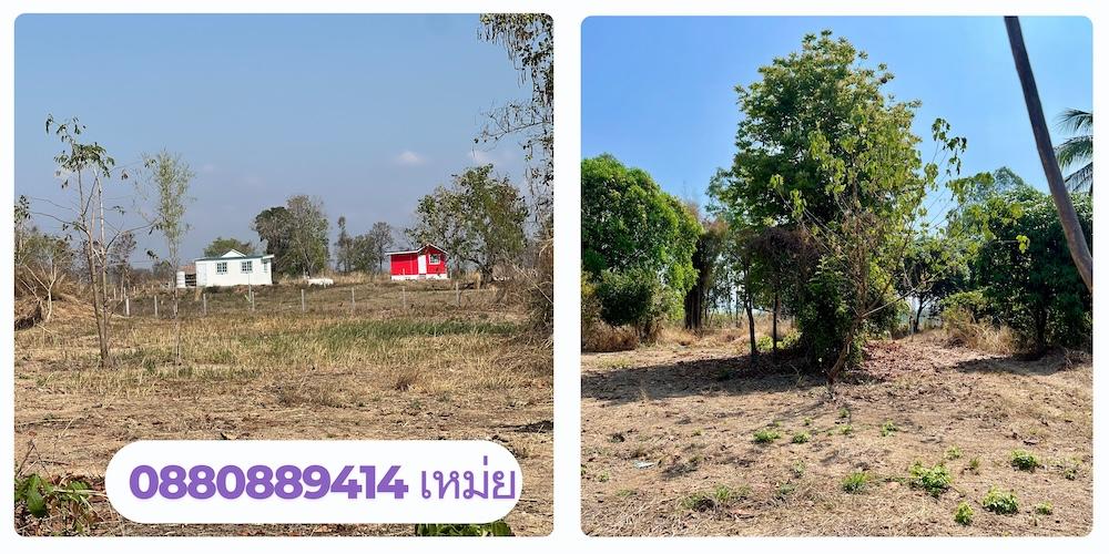 ที่ดิน ชนแดน เพชรบูรณ์ ขนาด 2 ไร่ 50 ตรวา 380,000 บาท  9