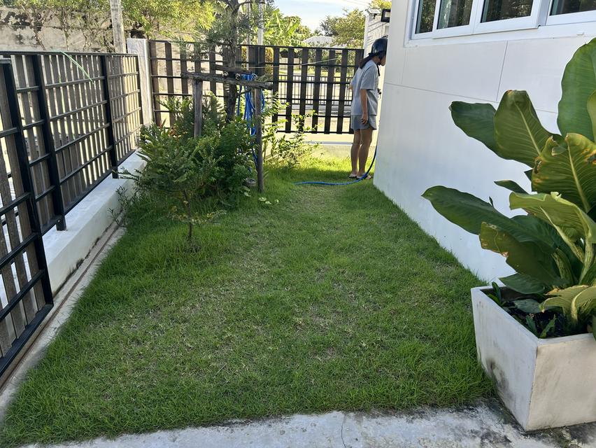 ให้เช่าบ้าน ซอย ใร่ขิง 36 4