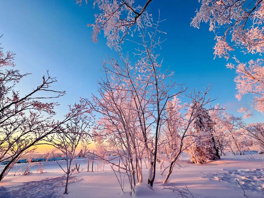 เที่ยวฮาร์บิน หมู่บ้านหิมะ ยาปู้ลี่ มู่ตันเจียง เทศกาลแกะสลักน้ำแข็ง 7วัน 5คืน 5