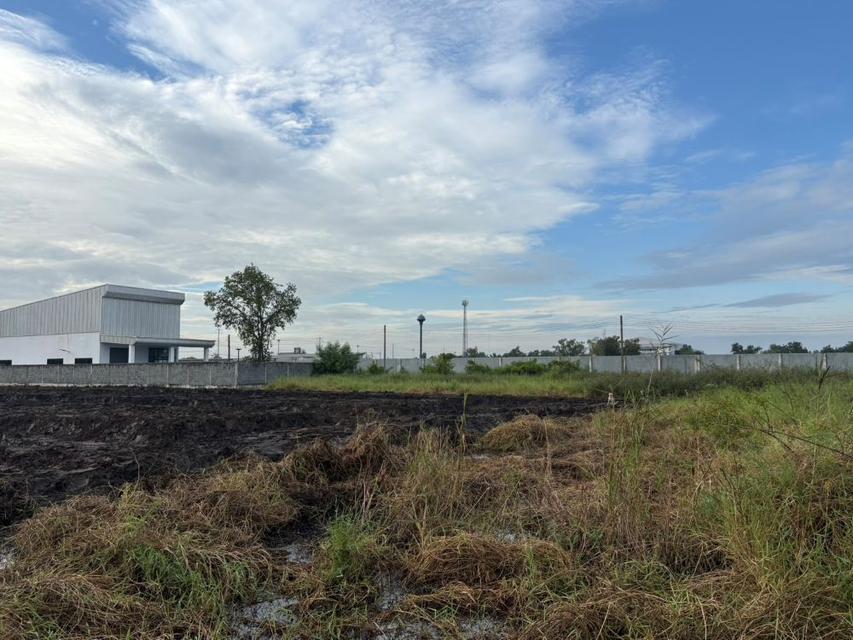 ขายที่ดินถมแล้ว 2 แปลงติดกัน พร้อมโฉนด คลอง 5 ธัญบุรี 2 งาน 80 ตรว. เข้าออกได้ 2 ทาง ใกล้มอเตอร์เวย์ ฟรีโอน 4