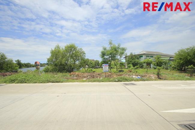 ที่ดินประชาอุทิศ90 จัดสรรตาเบิ้ม ถนนเมน 207ตารางวา สร้างบ้าน ทำธุรกิจได้ ใกล้โรงเรียนสารสาสน์วิเทศ ทางด่วนสุขสวัสดิ์ บางพลี ราคาถูก   10