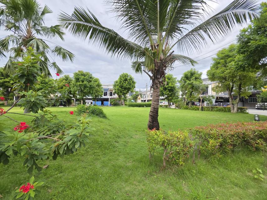 หมูบ้านเมดิโอ้ นิมิตรใหม่ 13 3