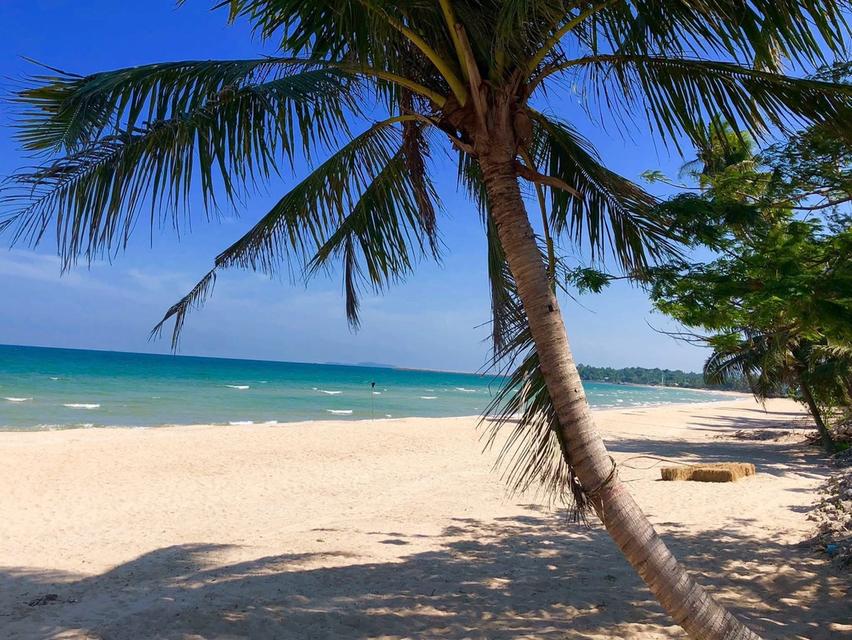ที่ดินชายทะเล หาดสะพลี จ.ชุมพร ราคาถูก 4