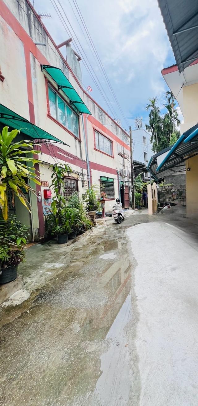 ขายตึก 2 ชั้นครึ่ง มีดาดฟ้าชั้นสามเต็มพื้นที่ ถนนทุ่ง โฮเต็ล ซอย 2 ทำเลน่าลงทุน 3