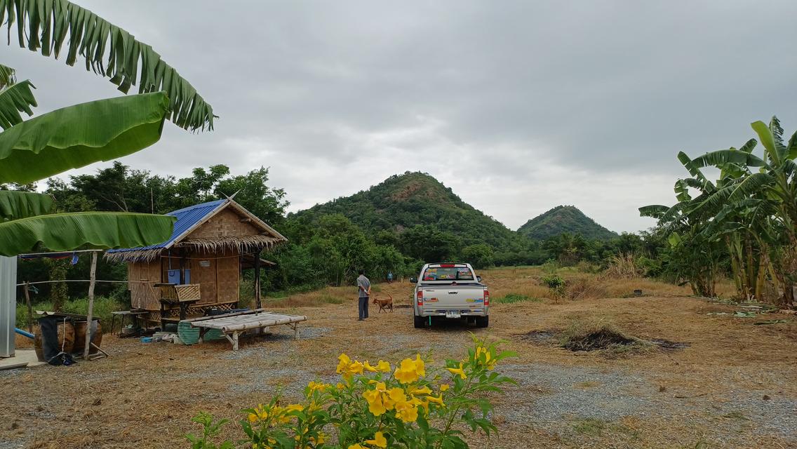 ที่ดินสวยเหมาะกับการทำบ้านสวนและการเกษตร 10