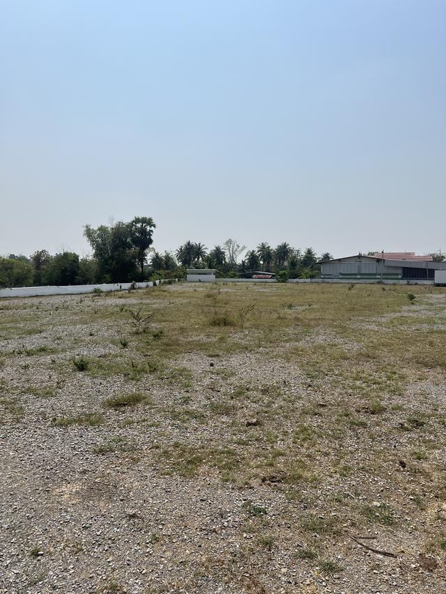 🌿✨ ขายที่ดินติดถนนใหญ่ 321 ใกล้คลอง ✨🌿 ทำเลดี อ.อู่ทอง จ.สุพรรณบุรี 2