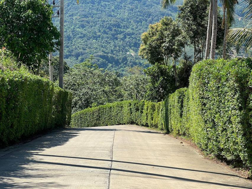 ที่ดินซีวิวบนเกาะสมุยอากาศดี 7