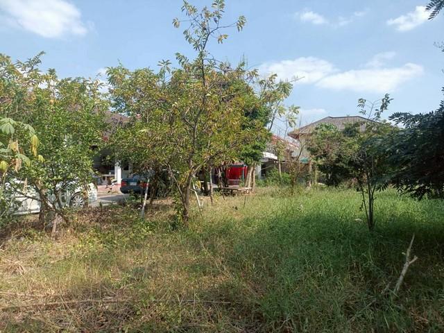 ขายที่ดินถมแล้ว เนื้อที่ 194 ตารางวา ถนนบรมราชชนนี ตำบลบางกระทึก อำเภอสามพราน จังหวัดนครปฐม 5