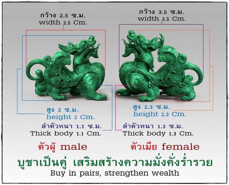 ปี่เซียะ ราชาโชค ตัวผู้–ตัวเมียหลวงปู่คำปั่น วัดป่าโนนสวรรค์อ.ทุ่งเขาหลวง จ.ร้อยเอ็ด📌 จัดสร้างปี พ.ศ. 2562 รูปที่ 8