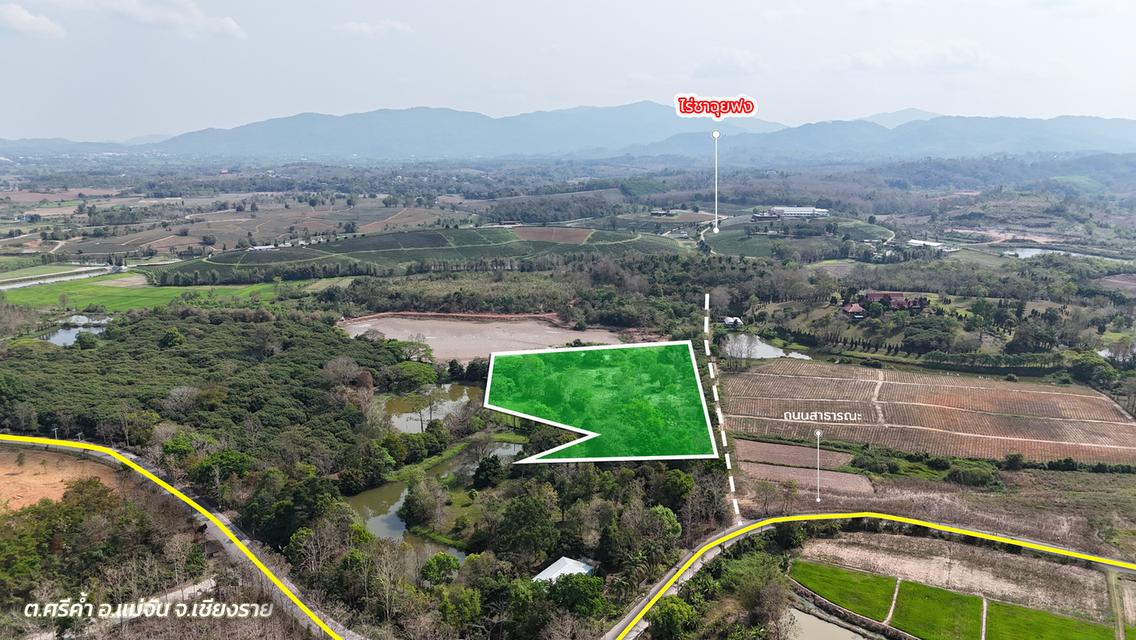 ประกาศขายที่ดิน ทำเลศักยภาพ ใกล้ไร่ชาฉุยฟง ตำบลศรีค้ำ อำเภอแม่จัน จังหวัดเชียงราย 57110 11
