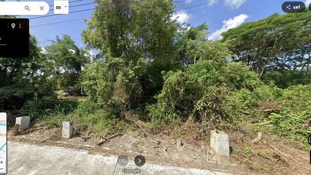 ขายที่ดิน 50 ตรว อำเภอหางดง จ.เชียงใหม่ แยกเส้นบ้านถวายออกมาประมาณ 300 เมตร ที่ดิน ผ่อนตรงเจ้าของ 2