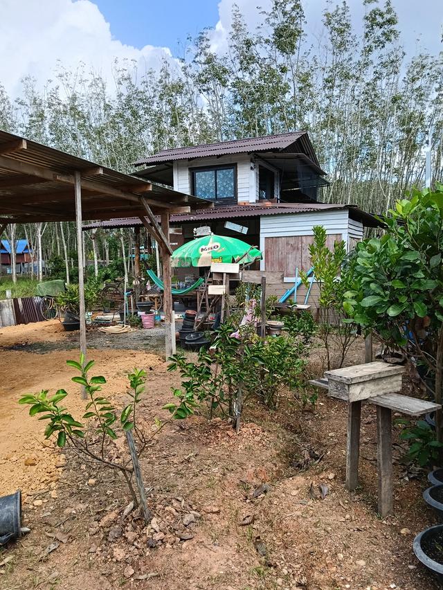 ที่พักหากใหญ่ ควนลัง 5