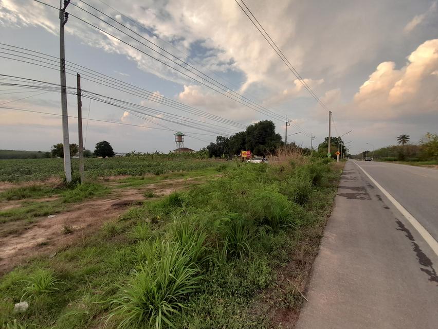 ที่ดินเปล่า 24 ไร่ ติดถนนสาย13 ซอย8 อ.นิคมพัฒนา จ.ระยอง 2
