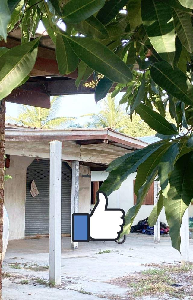 ขายบ้านพร้อมที่ดิน 4