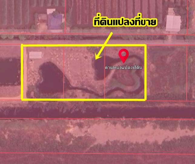 ขายที่ดินคลอง 10 ซอยม่วงทอง ใกล้วัดป่าคลอง11 หนองเสือ ปทุมธานี 6