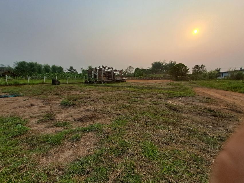 ที่ดินสวนน้ำไฟพร้อมแบ่งจ่ายได้ 5