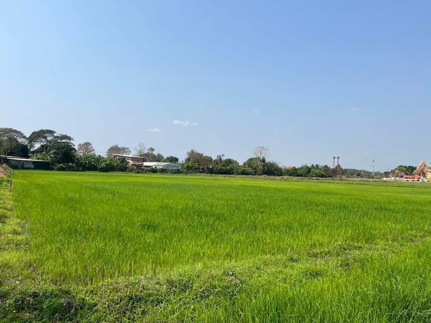 ที่ดิน จังหวัดเชียงราย 6