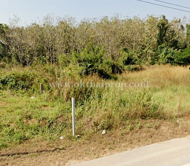 ที่ดินพร้อมต้นสักแปลงมุม ติดถนนลำปางหลวง ใกล้เทศบาลตำบลลำปางหลวง  9