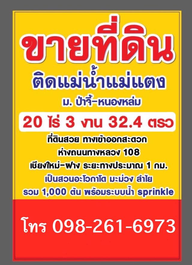 ขายที่ดินถมแล้ว 20 ไร่ 3 งาน 32.4 ตร.ว. เป็นสวนเกษตร (ไม่เสียภาษีที่ดิน) ติดแม่น้ำแตง อ.แม่แตง จ.เชียงใหม่ 9