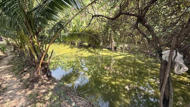 ที่ดิน 47 ตร.วา ซอย สุคนธวิท 29 กระทุ่มแบน - สมุทรสาคร ราคาถูก 3