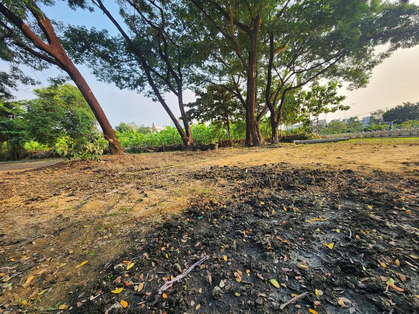 ที่ดินเปล่า 220ตรว. ริมคลองทวีวัฒนา กรุงเทพ 19