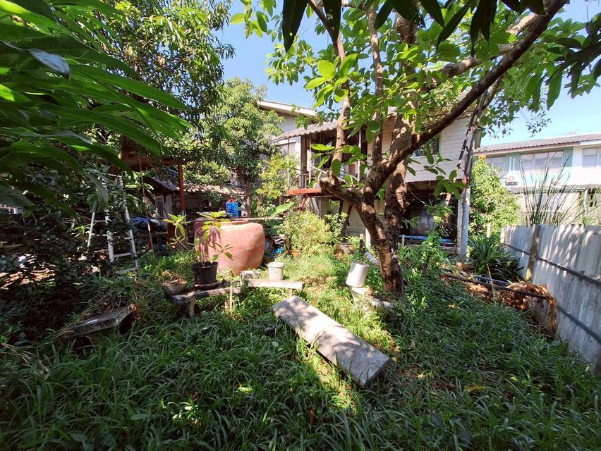 ที่ดินพร้อมสิ่งปลูกสร้าง ซอยไสวประชาราษฎร์ 33 (ร่วมสุข8) ลำลูกกาคลอง 4 ถนนลำลูกกา ต.ลาดสวาย อ.ลำลูกกา จ.ปทุมธานี 6