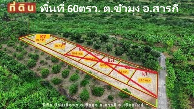 ขายที่ดินแบ่งจัดสรร 60ตรว. ลดเหลือ 294,000บ. ฟรีโอน ถนน น้ำ ไฟฟ้า ใกล้วัดขัวมุง ต.ขัวมุง อ.สารภี เชียงใหม่ 1