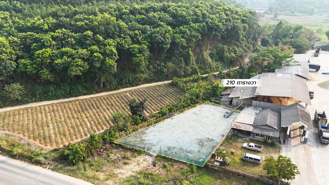 ขายด่วน ที่ดินติดทางหลวง 1098 ท่าข้าวเปลือก แม่จัน เชียงราย 210 ตร.ว. รูปทรงถุงเงินถุงทอง 7