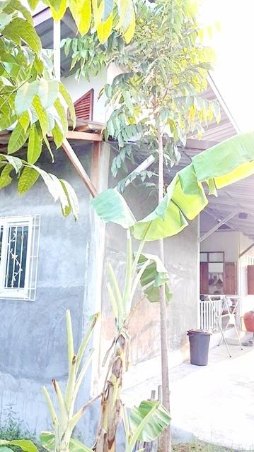 วัดหนองกระทุ่ม 2กม. PTT ปตท.เขาบางแกรก4กม. บ้านสวนชั้นเดียว 2นอน 3 น้ำ ทำเลหนองฉาง 8