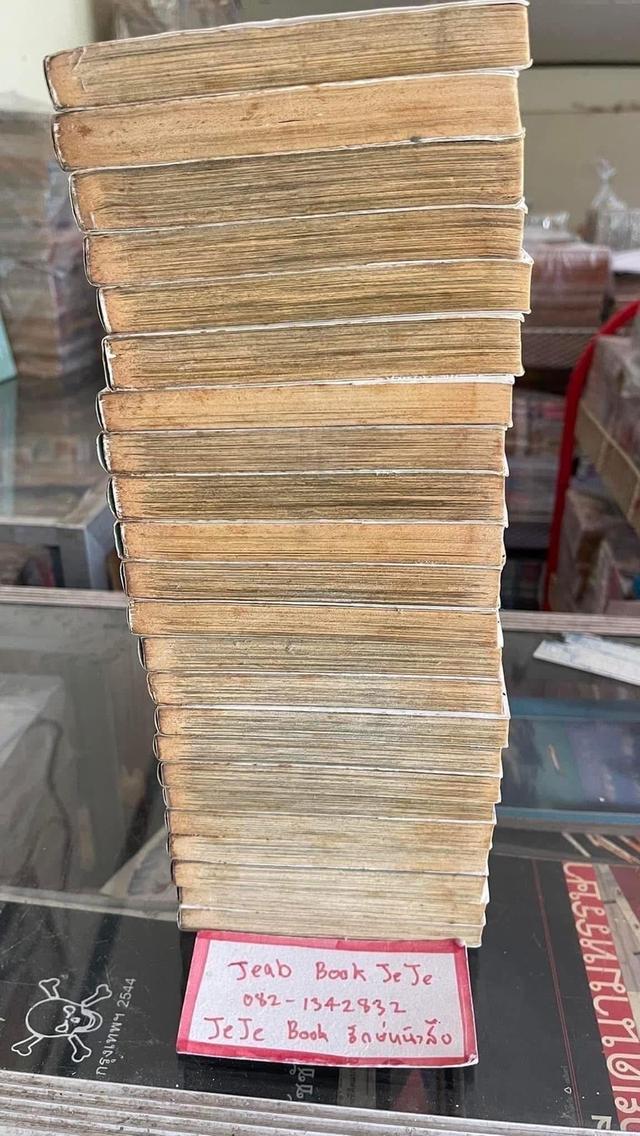 หนังสือการ์ตูน เจ้าหญิงนักล่าผีดิบ 1-23 จบ รูปที่ 8