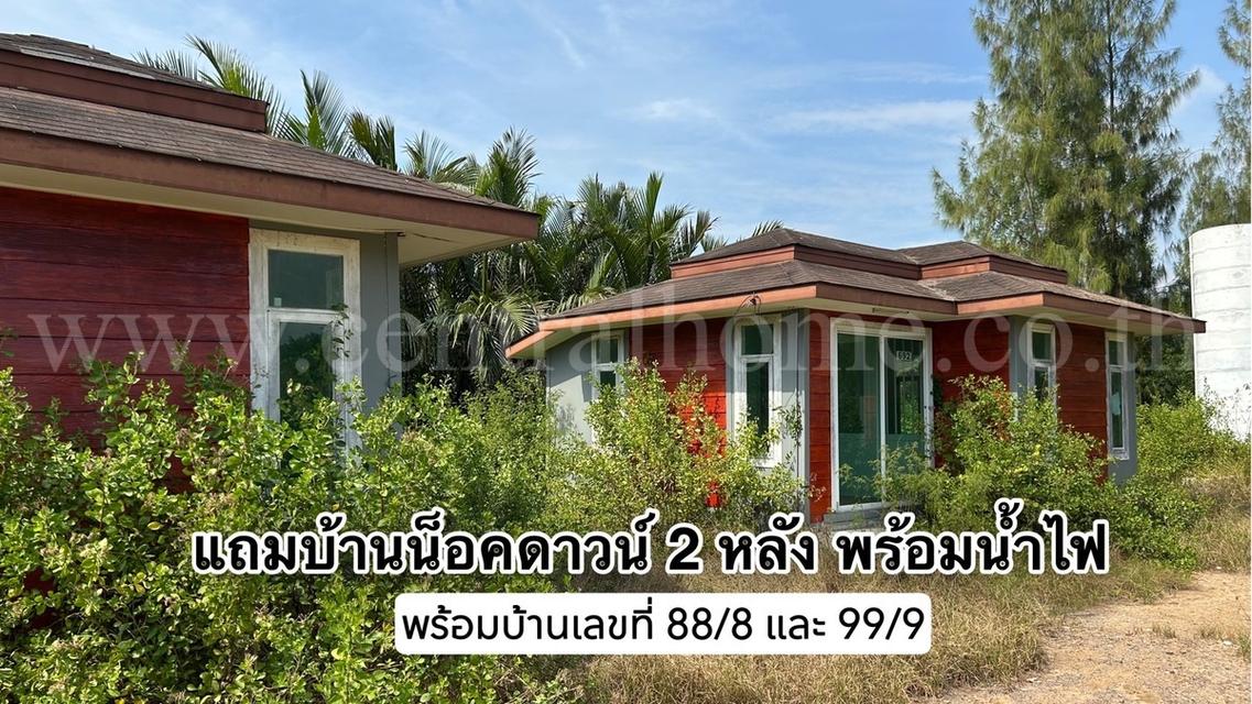 ที่ดิน 10-2-19 ไร่ แหลมใหญ่ อ.เมือง สมุทรสงคราม ใกล้ถนนพระราม 2 9