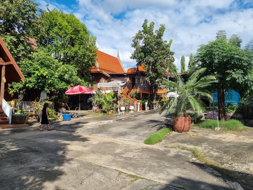 ที่ดิน ใจกลางเมืองขอนแก่น ถนนศรีจันทร์ บ้านศรีฐาน 5