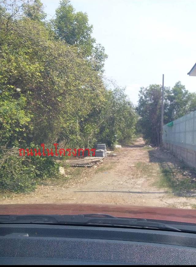 ขายที่ดินจัดสรร 72 ตรว. ใกล้สี่แยกบางคล้า ต.เสม็ดเหนือ จ.ฉะเชิงเทรา 7