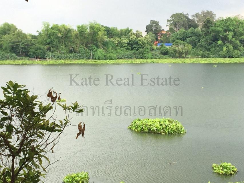 ที่ดินสวยติดแม่น้ำมูลทั้งผืน อากาศเย็นสบายทั้งปีหน้าที่ดินเป็นถนนคอนกรีตเทใหม่เอี่ยม  1