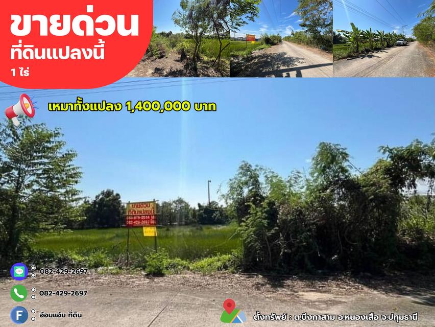 ขายด่วนที่ดิน 400ตรว.(1ไร่) ใกล้วัดป่าคลอง11 ต.บึงกาสาม อ.หนองเสือ จ.ปทุมธานี 1