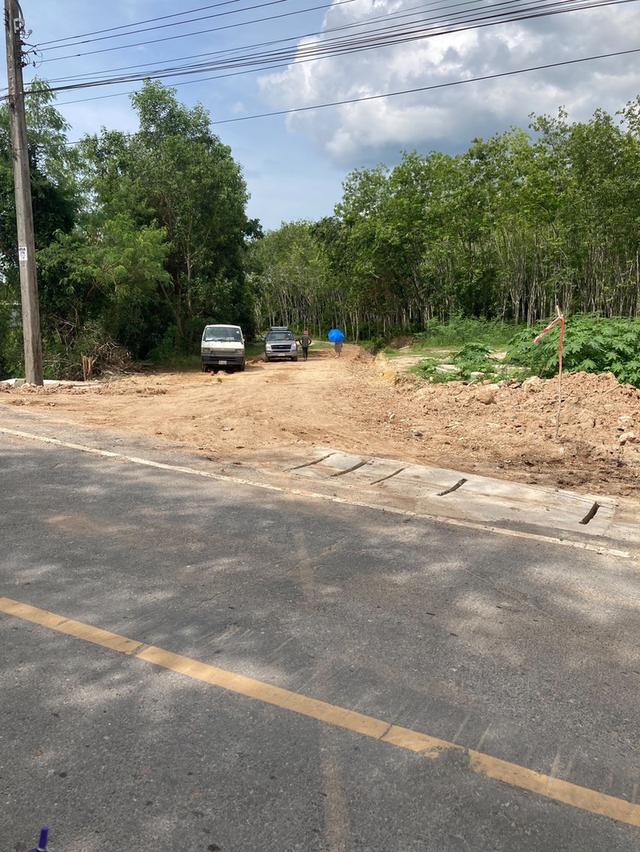 ที่ดิน 9ไร่ 1งาน 98ตารางวา หาดใหญ่ 8