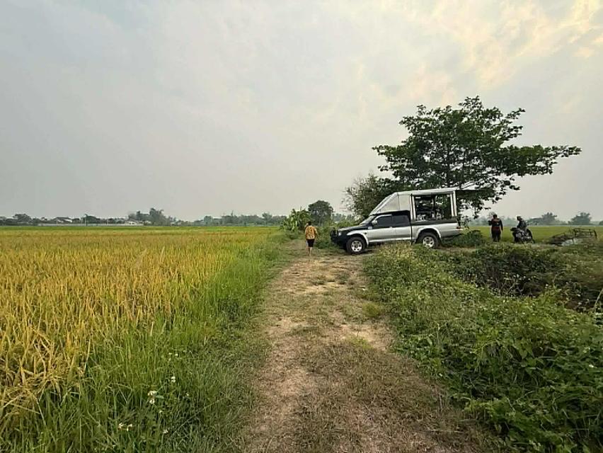 ขายแปลงนา และบ้าน เอกสารโฉนด ดอยสะเก็ด เชียงใหม่ 8