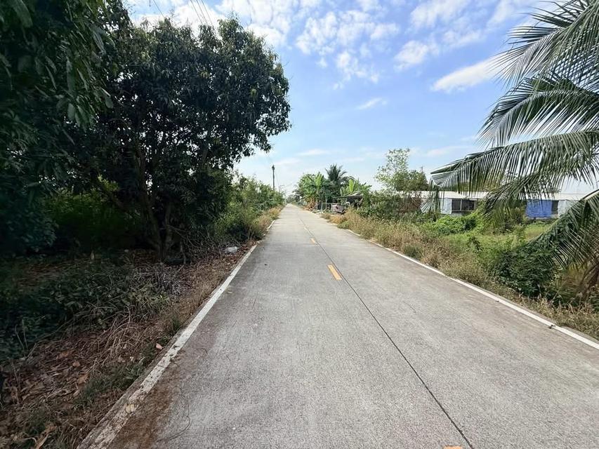 Vายด่วนที่ดิน 512 ตารางวา ใกล้อนามัยบางหลวง ชอยองุ่น บางหลวง เมืองปทุมธานี 4