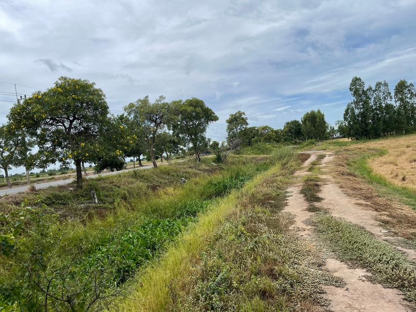 ที่นาแบ่งขาย อยู่ที่ ต.วังน้ำเย็น อ.บางปลาม้า จ.สุพรรณบุรี จำนวน 4 แปลง มีทั้งหมด 29 ไร่ 2 งาน แบ่งขาย แปลงละ 7 ไร่ 1 งาน 59 ตรว. ขายไร่ละ 230,000 บ. 14