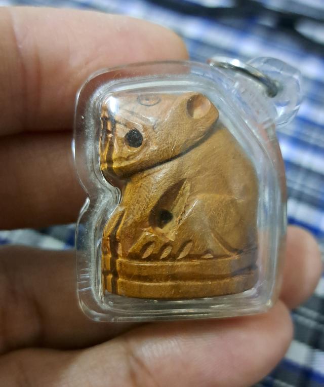 🐅#เสือแกะไม้พยุง ขนาดกลาง หลวงพ่อชาญ วัดบางบ่อ จังหวัดสมุทรปราการ