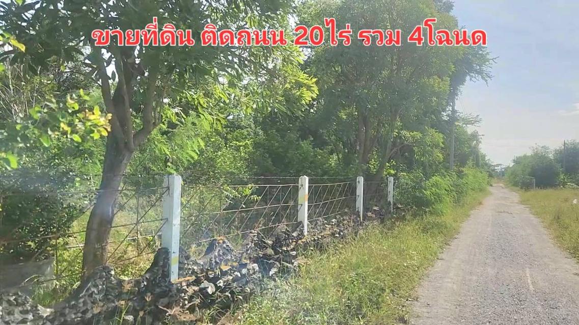 ขายที่สวน มีโฉนด อยู่ใกล้ถนนหลัก อ.ดอนเจดีย์  จ.สุพรรณบุรี 1