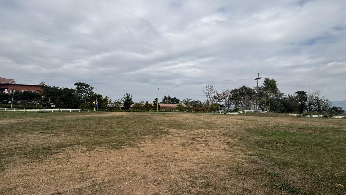 ที่ดินเปล่า 7 ไร่ 2 งาน ไร่ละ 9แสน แบ่งได้ อ.วังน้ำเขียว 7